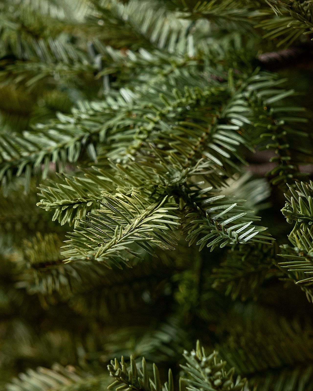 Árvore De Natal Com Micro LED Embutida