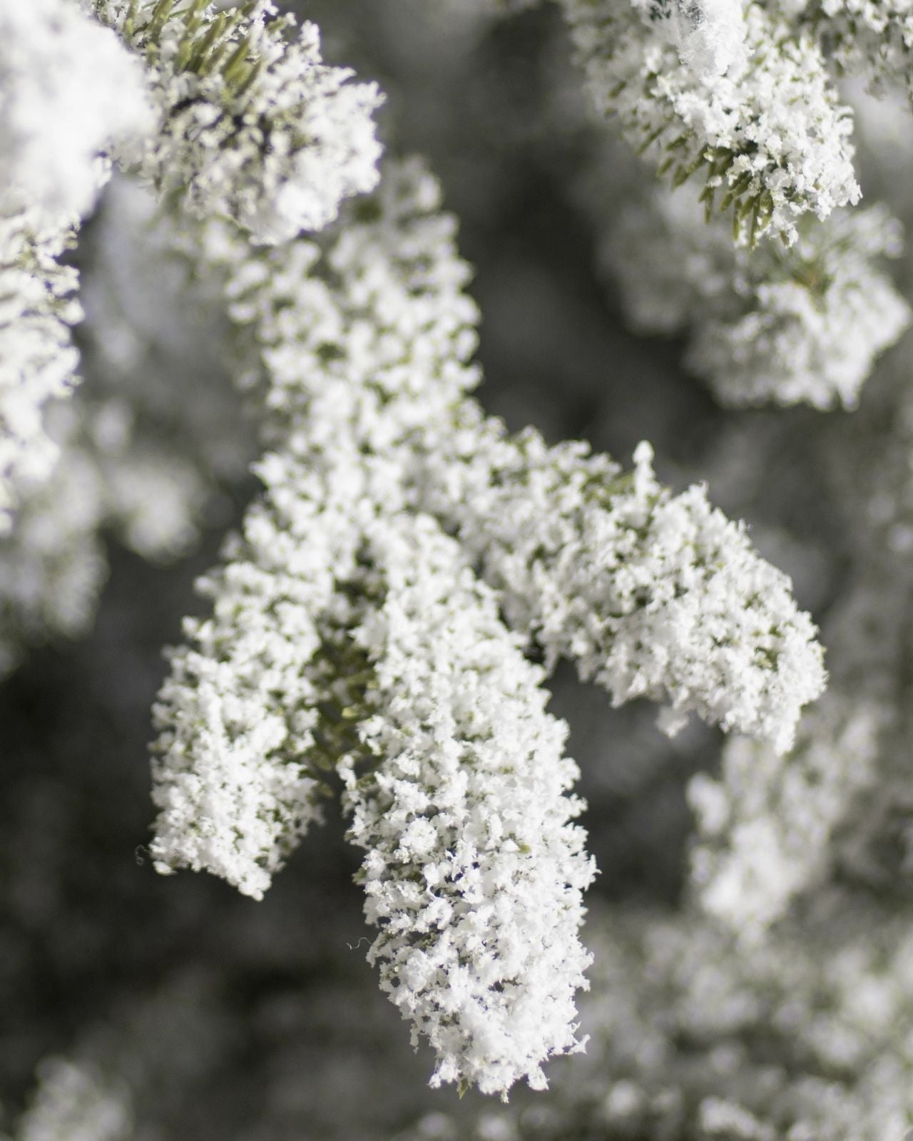 Árvore De Natal Com Micro LED Embutida