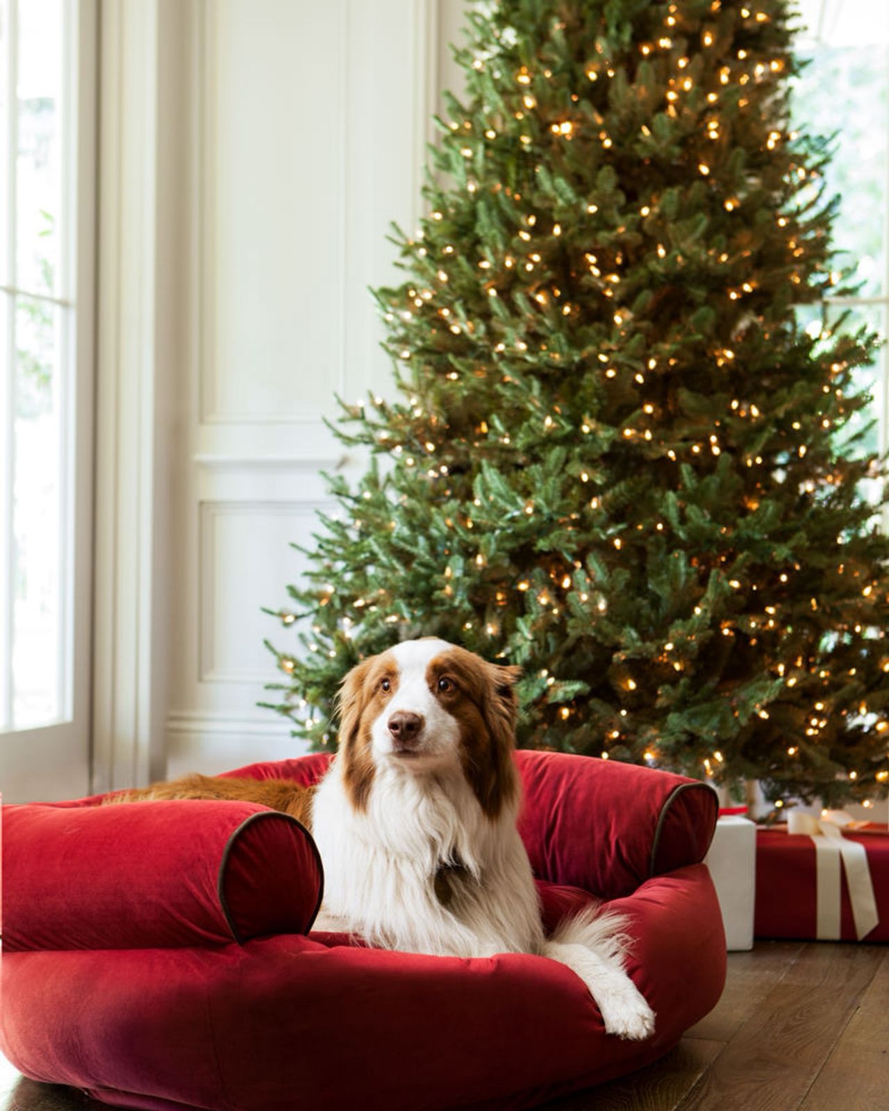 Árvore De Natal Com Micro LED Embutida